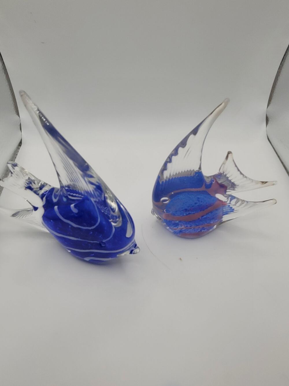 Glass Fish 2